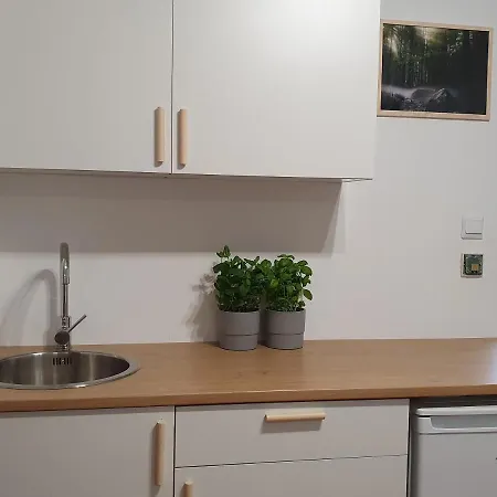 Studio Zubrowa 4 - Gdansk Daire