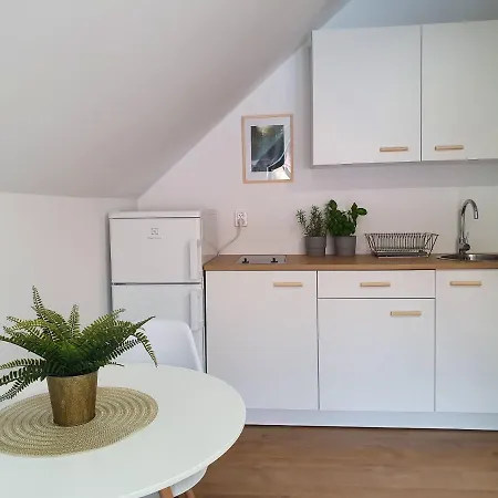 Daire Studio Zubrowa 4 - Gdansk