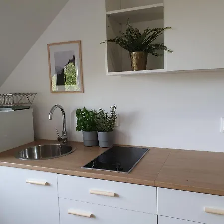 Studio Zubrowa 4 - Gdansk Daire