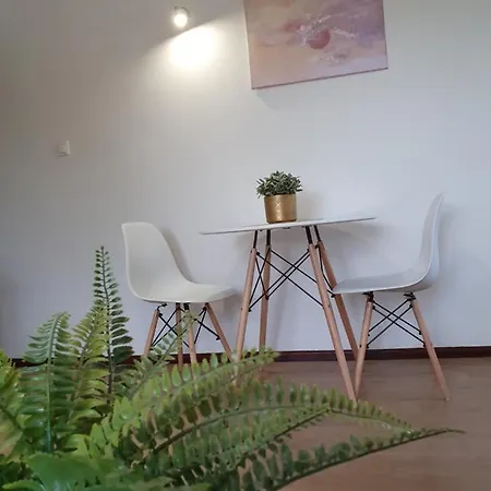 Daire Studio Zubrowa 4 - Gdansk Gdansk